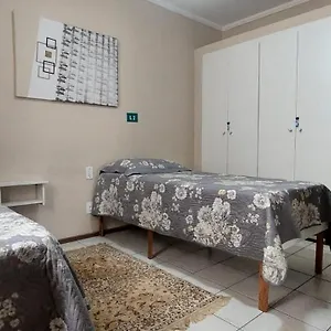 Palmeira Campinas (Sao Paulo)